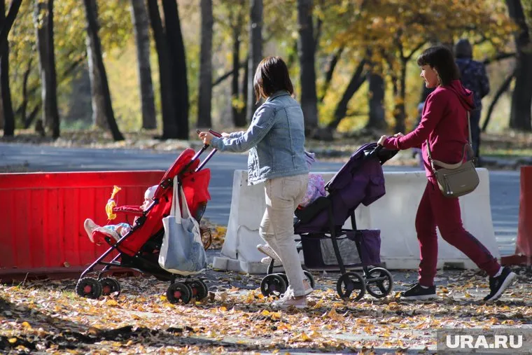 Работающих родителей могут лишить пособия по уходу за ребенком