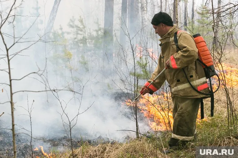 Большая часть возгораний произошла по вине человека