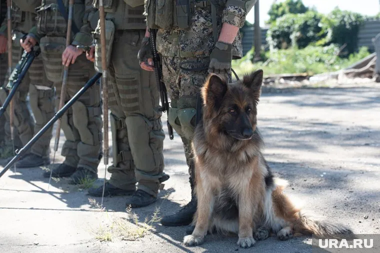 Пермяки в составе ЧВК отправились в Донбасс