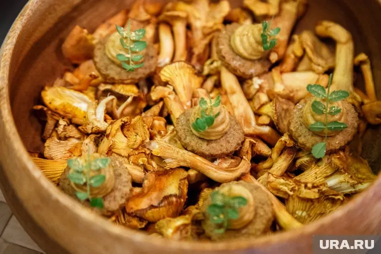 Лето 2023 года радует любителей грибов