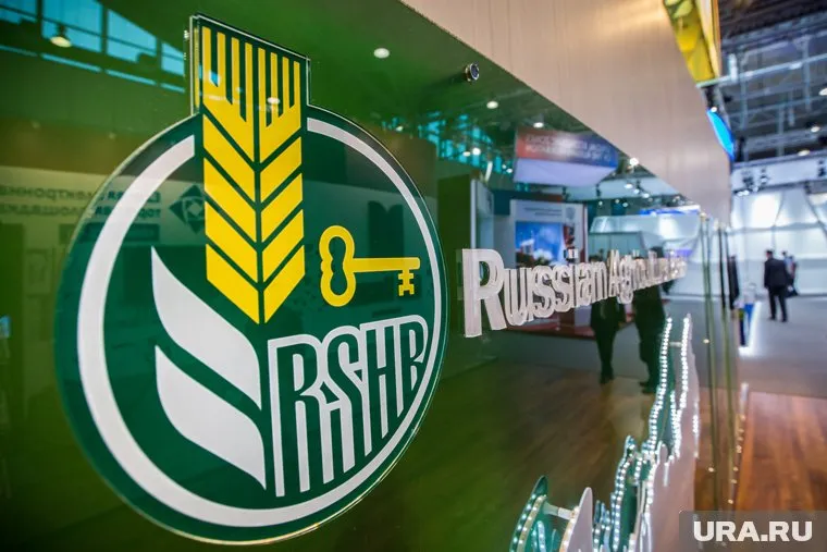 «Дочку» Россельхозбанка могут подключить к SWIFT в течение 30 дней, передает Reuters