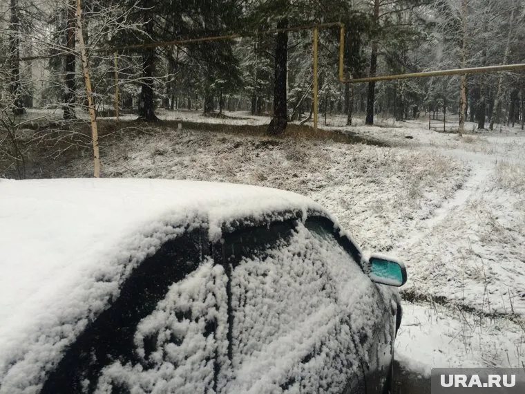 Лесная зона Златоуста притягивает к себе богатых людей