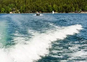 Фотография из галереи