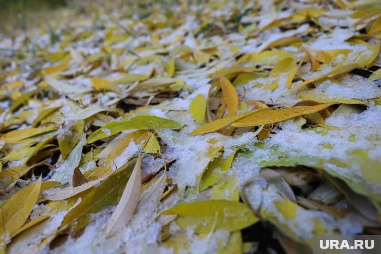 К 11 октябрю зимняя погода установится на 50-55% территории РФ