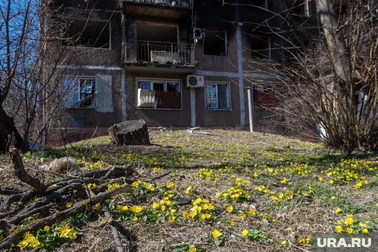 На видео видны разрушенные дома, однако на улице нет трупов (архивное фото)