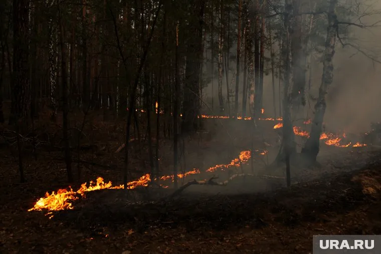 Пожар произошел в Лебяжьевском муниципальном округе (архивное фото)