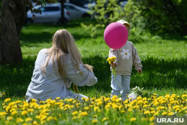 На фестиваль одуванчиков приглашают и взрослых, и детей
