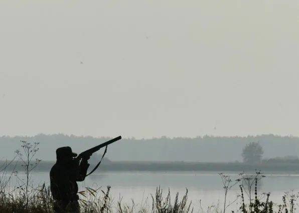 Фотография из галереи