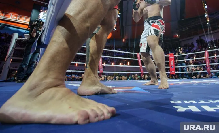 Болельщики бросились разнимать бойцов, после чего завязалась массовая драка