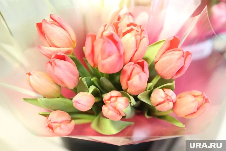 Самые дешевые тюльпаны в Перми стоят 80 рублей за штуку
