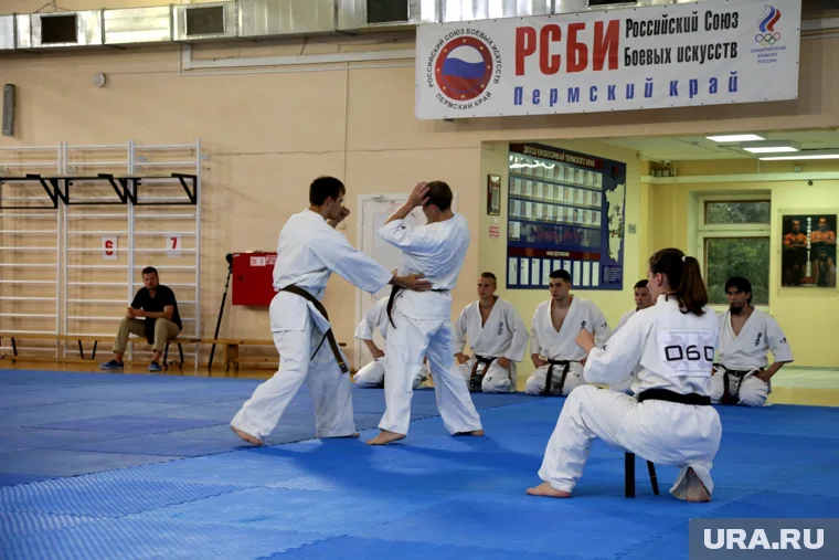 Курганские каратисты показали мастерство на соревнованиях (архивное фото)
