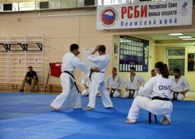 Курган богат талантами: каратисты завоевали медали на первенстве в Нижнем Новгороде