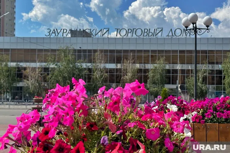 Курганский ЦУМ выплатит компенсацию «Союзмультфильму» за нарушение авторских прав