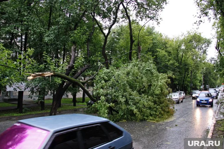 Во время шторма погибли три человека