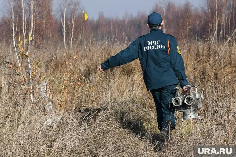 Выявлением причин лесных пожаров занимается пожарная инспекция МЧС, напомнил Эрнест Валеев