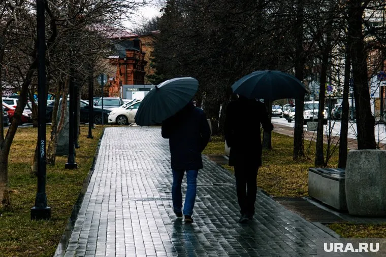 Сильный дождь ожидает свердловчан 21 июня