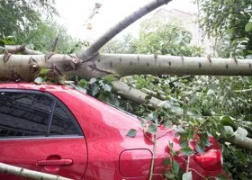 В Москве увеличилось количество погибших из-за урагана