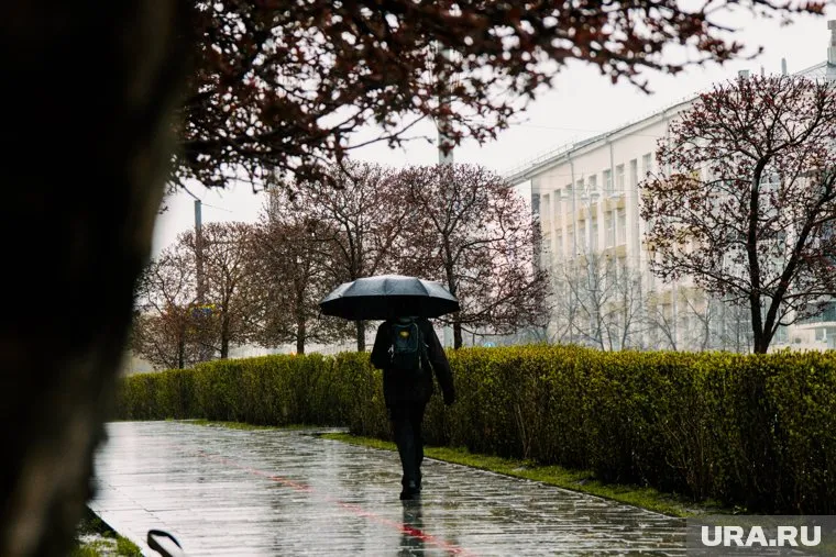 Дожди продолжат идти с 14 по 16 июня