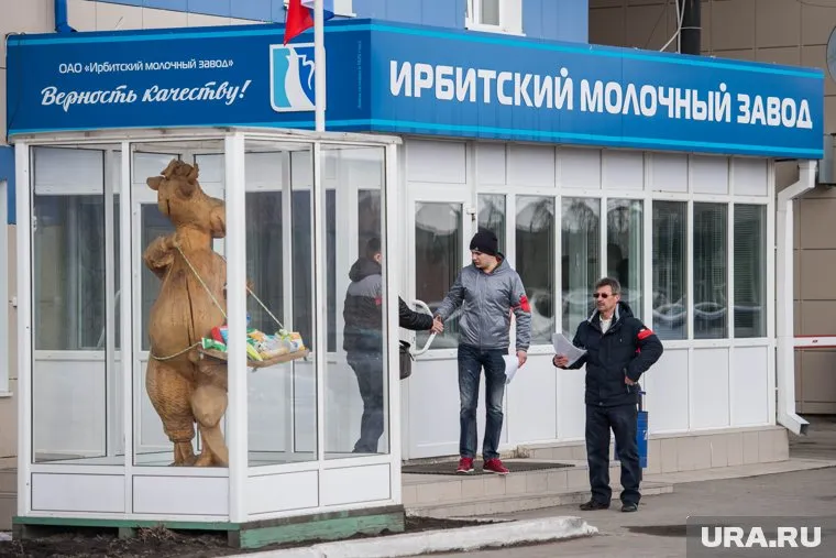 У поставщика Ирбитского молочного завода криминальные проблемы