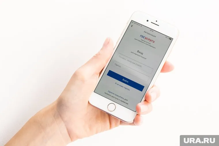 «Госуслуги» стали главной мишенью среди мошенников