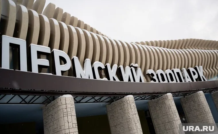 Пермский зоопарк откроется в 2025 году