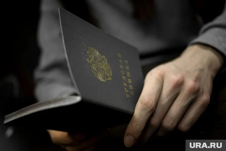 Краха на рынке труда ждать не стоит
