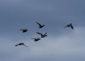 Фотография из галереи