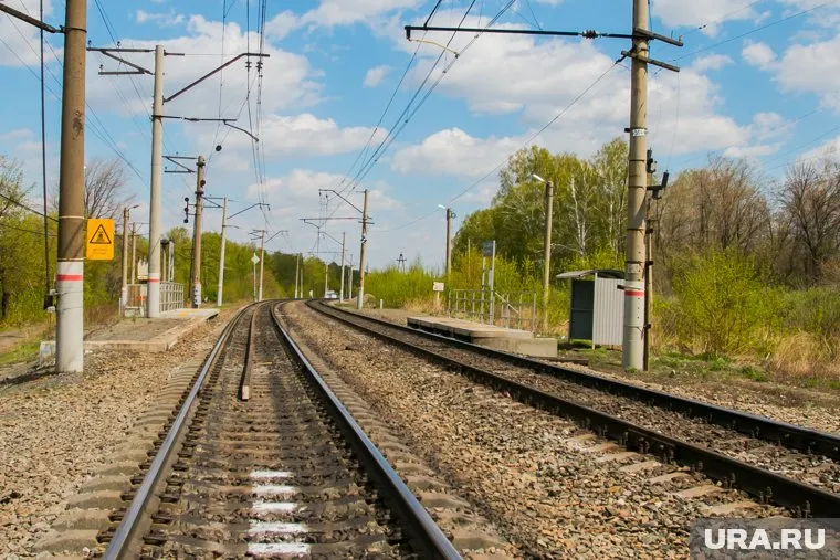 Семья планировала собирать возле железной дороги грибы