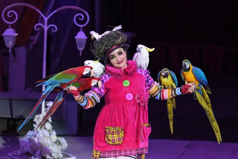 Пресс-показ нового циркового шоу "Клоун". Екатеринбург