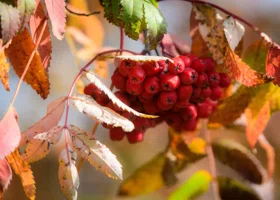 День народного единства будет самым холодным из праздничных дней в Кургане