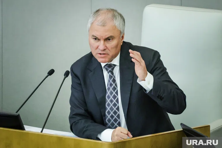 Володин заявил, что в России были зафиксированы случаи, когда социальные выплаты использовались для финансирования терроризма