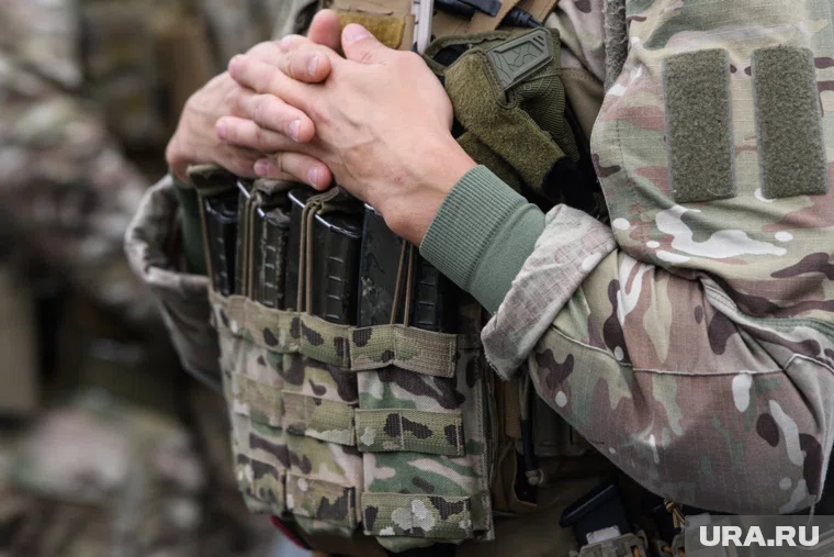 Доля участников СВО на рынке труда увеличится