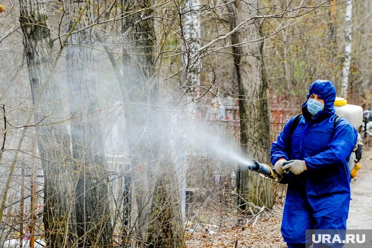 Обработку прошли практически все районы города