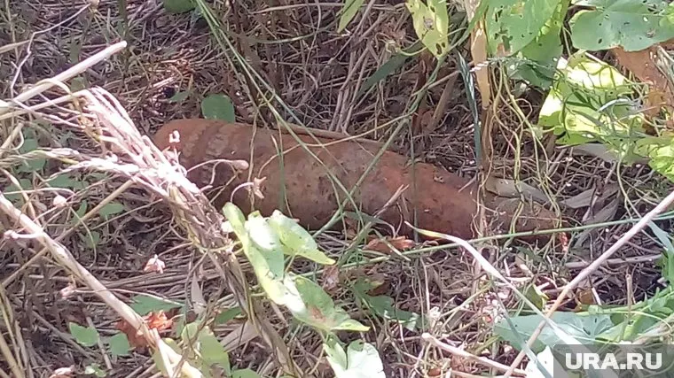 Ржавый артиллерийский снаряд обнаружили на набережной Тобола