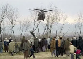 Фотография из галереи