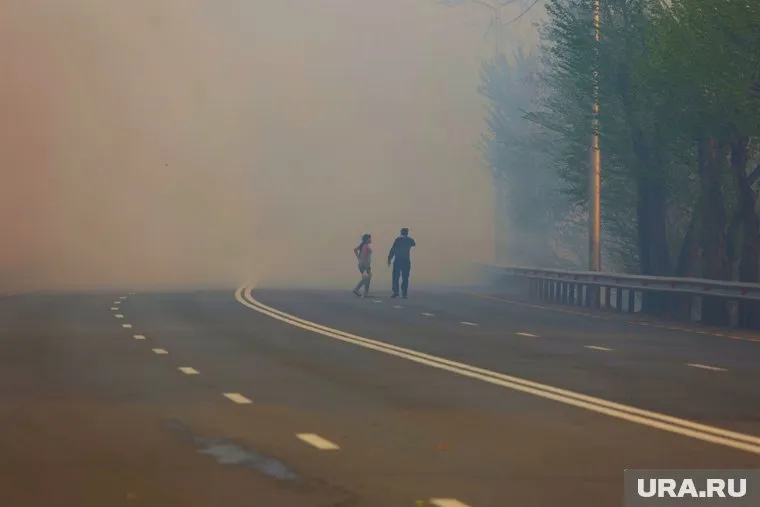 В Курганской области выросло число погибших в пожарах