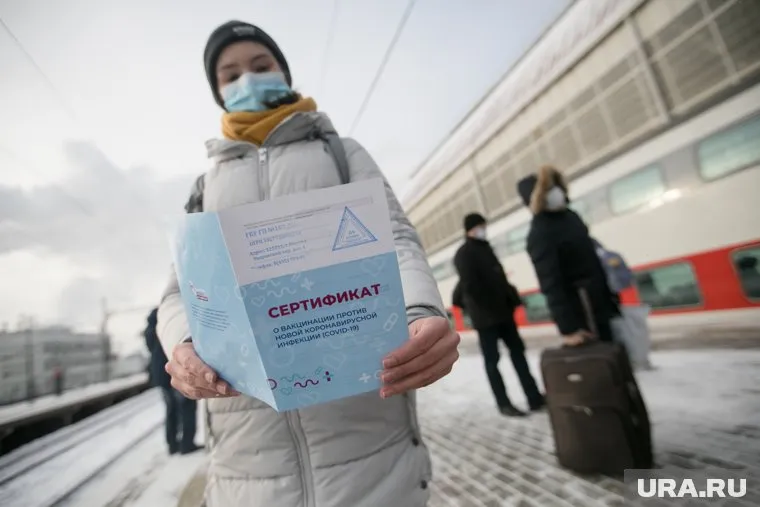 Поддельный сертификат за 12 000 рублей изготовят в Московской области или Кемерово (архивное фото)