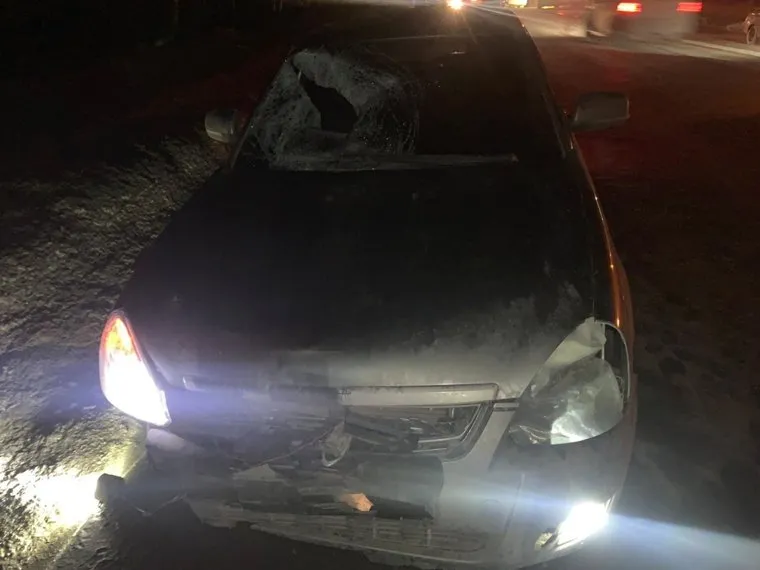 На трассе Тюбук-Кыштым водитель автомобиля „Лада Приора“ не увидел пешехода в темноте