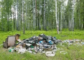 В Перми с незаконных свалок вывезли тысячи тонн мусора