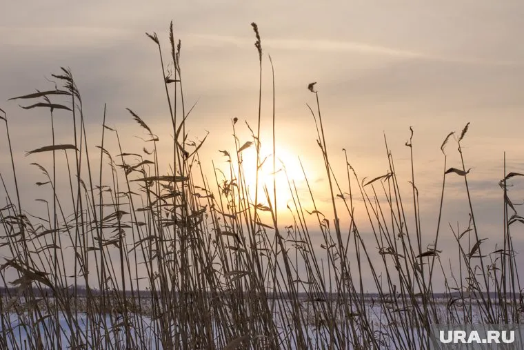 Деревня Ярки, зимник. Ханты-Мансийский район
