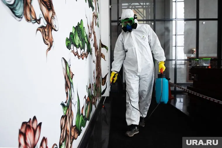 Люди сами создают «идеальную» среду для вирусов