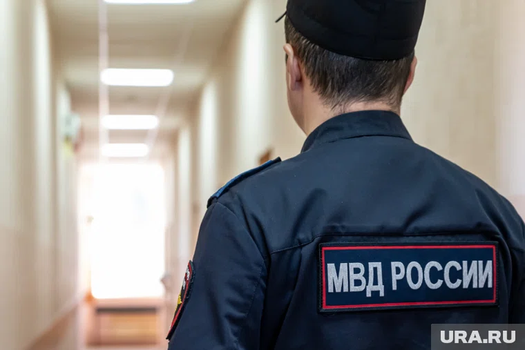 В МВД РФ существует группа для консультирования русскоязычных граждан, заявила Волк