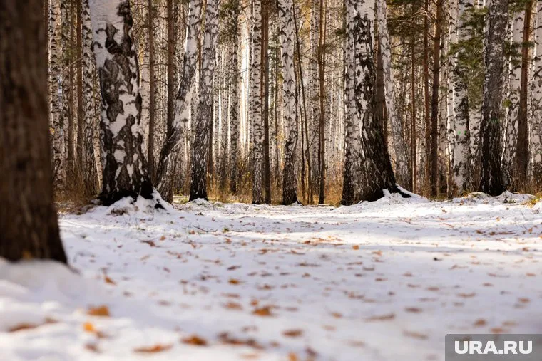 ЧП произошло рядом с СНТ «Ягодка» (архивное фото)