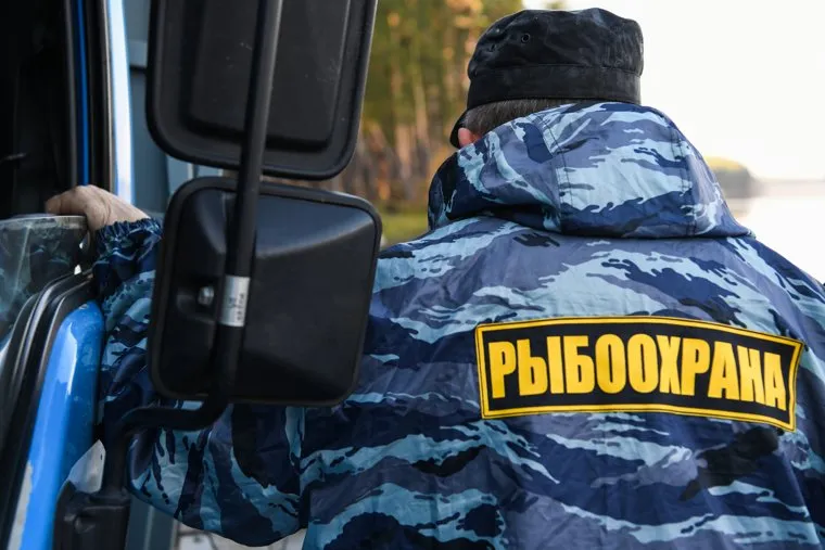 Зарыбление на Верхнесысертском пруду. Свердловская область