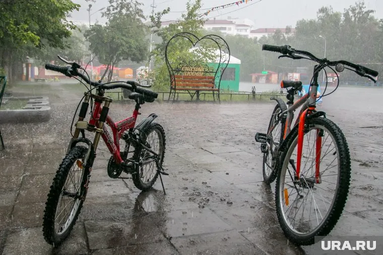 До этого прокуратура и суды вставали на сторону прокуратуры и  полиции