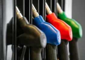 Фотография из галереи