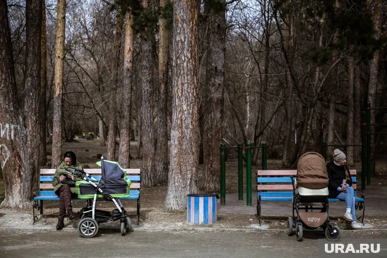 Речь идет про аллею возле Дворца спорта