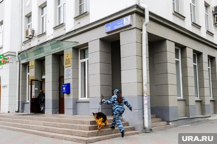 Здание обследовали со служебными собаками