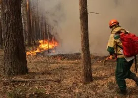Фотография из галереи