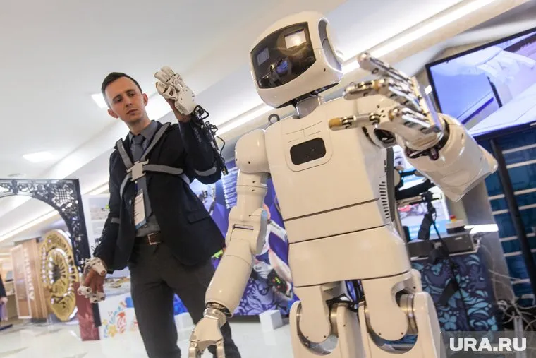 По данным РАЭК, доля информационных технологий в ВВП России составляет более 5%